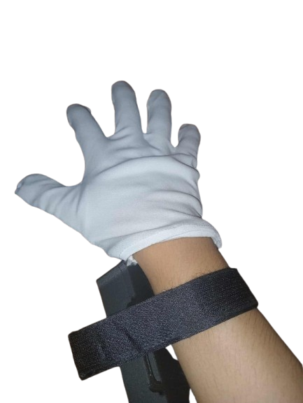 Thesis — Gloves Backhand