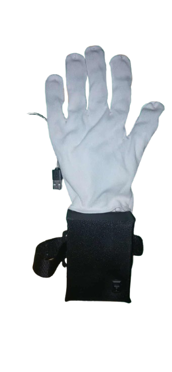 Thesis — Gloves Green BG